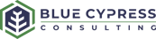 Blue Cypress Consulting